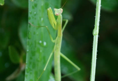 201107190812-DSC01324.jpg