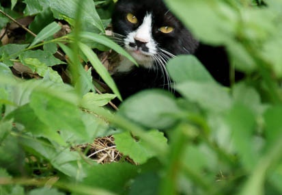 201107221120-DSC01768.jpg