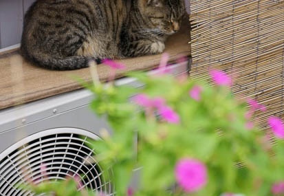 201107231558-DSC02062.jpg