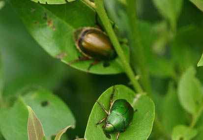 201107231628-DSC02213.jpg
