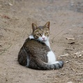201107231657-DSC02321.jpg