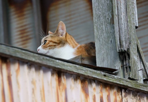 07.23 川崎