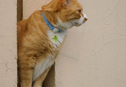 201107231746-DSC02533.jpg