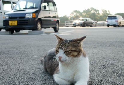 201107250634-DSC02628.jpg