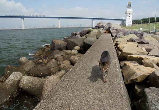201107250901-DSC02892.jpg