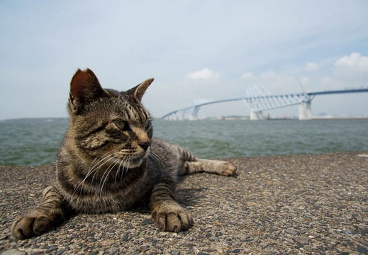 07.25 若洲海浜公園