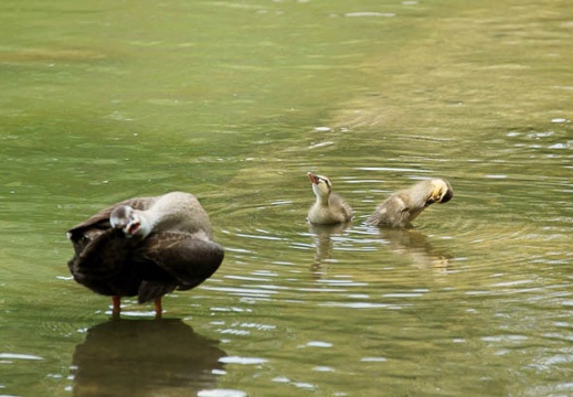 201107251150-DSC03458.jpg