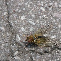 201107261203-DSC03947.jpg
