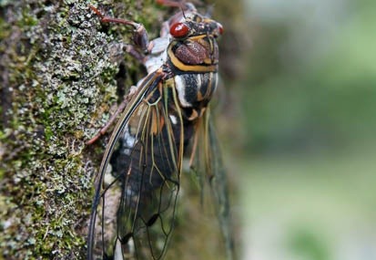201107261205-DSC03976.jpg