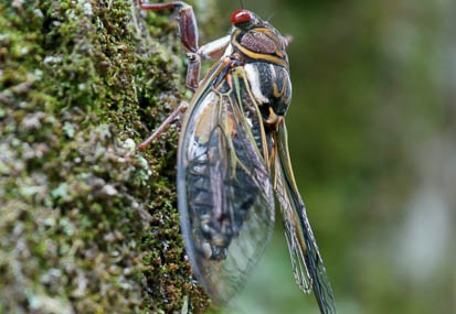 201107261207-DSC04001.jpg