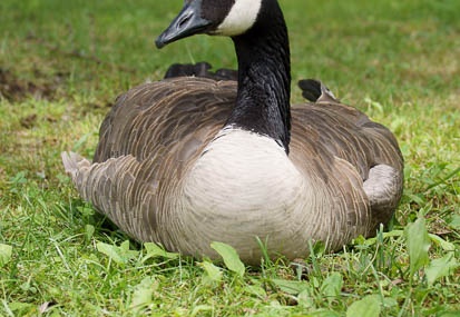 201107261231-DSC04079.jpg