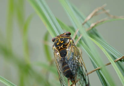 201107261237-DSC04094.jpg