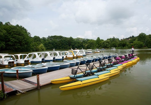 201107261303-DSC04153.jpg