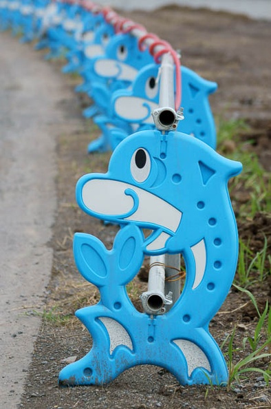 201107281614-DSC05088.jpg