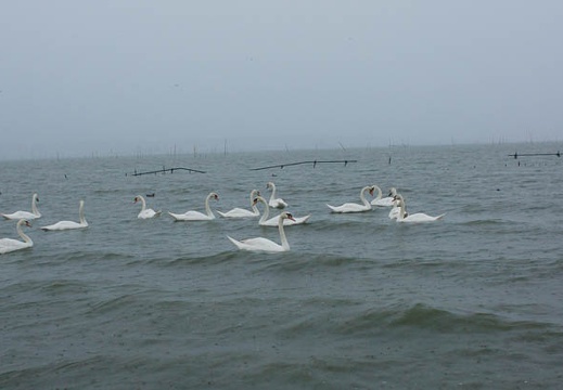 201107281829-DSC05107.jpg