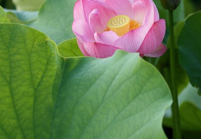 201108020550-DSC05107.jpg