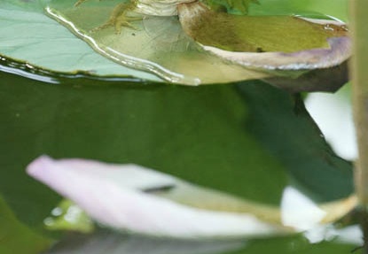 201108020552-DSC05122.jpg