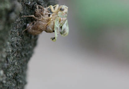 201108020707-DSC05395.jpg