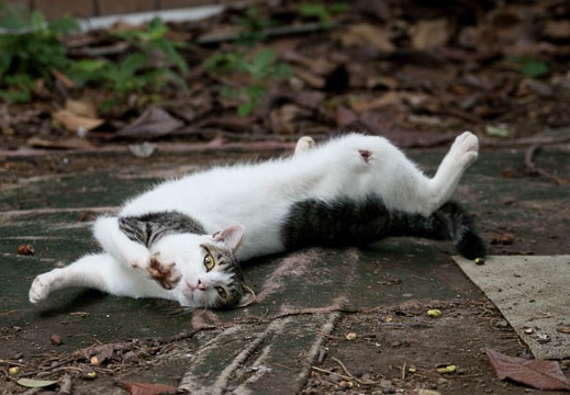 201108020743-DSC05579.jpg