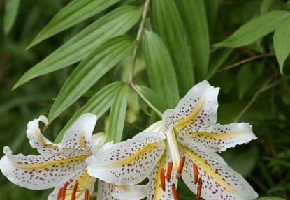 201108021016-DSC05926.jpg