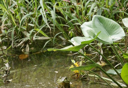 201108021039-DSC05990.jpg