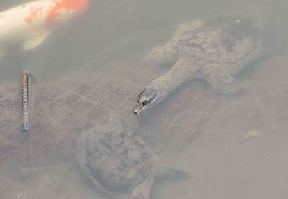 201108021122-DSC06035.jpg