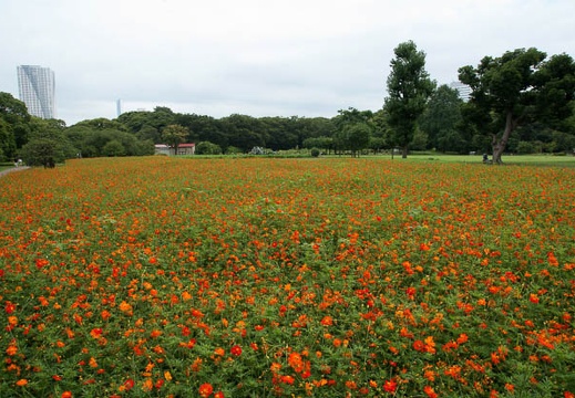201108031424-DSC06211.jpg