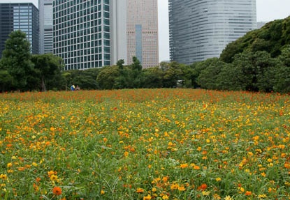 201108031437-DSC06244.jpg