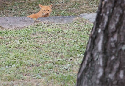 201108031509-DSC06339.jpg
