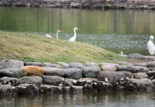 201108031521-DSC06362.jpg