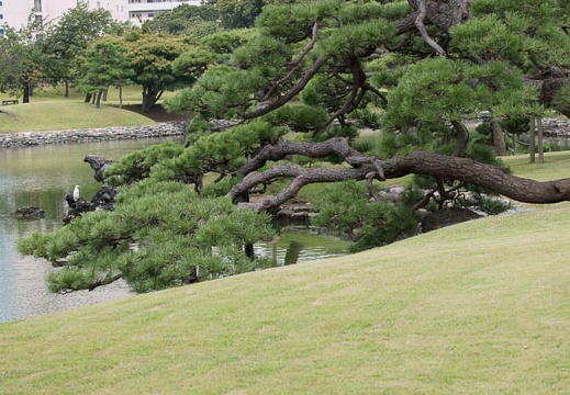 201108031525-DSC06389.jpg