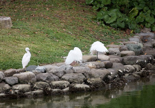 201108031525-DSC06390.jpg
