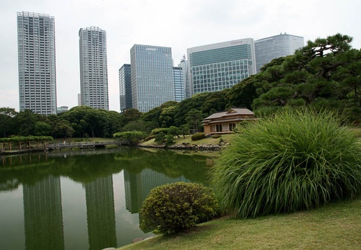 201108031530-DSC06410.jpg