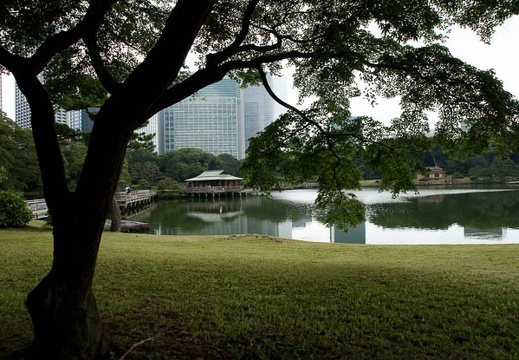 201108031550-DSC06440.jpg