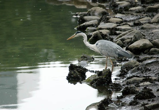 201108031552-DSC06452.jpg