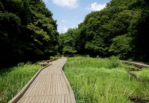 201108041228-DSC00044.jpg
