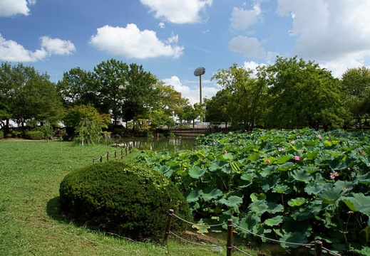 201108041405-DSC00149.jpg
