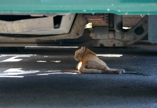 201108041450-DSC00405.jpg