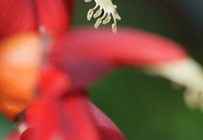 201108041557-DSC00747.jpg