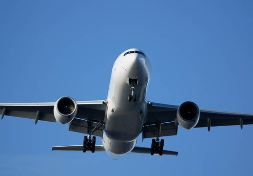 201108051644-DSC01268.jpg