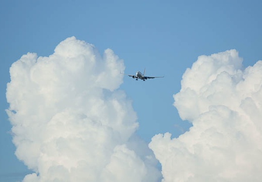 201108051646-DSC01292.jpg