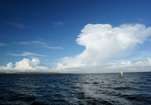 201108051655-DSC01368.jpg