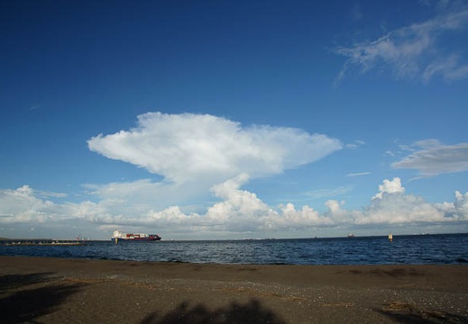 201108051717-DSC01449.jpg