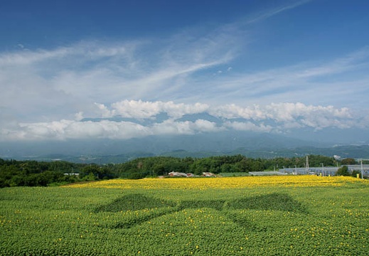 201108080839-DSC02010.jpg