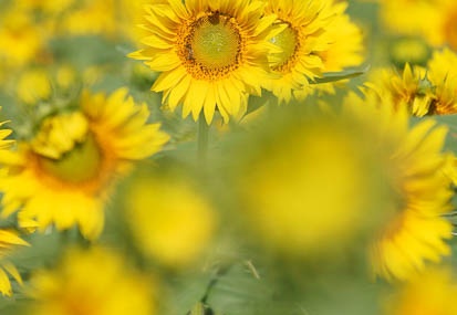 201108080856-DSC02058.jpg