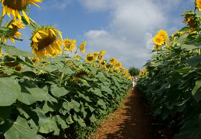 201108080924-DSC02160.jpg