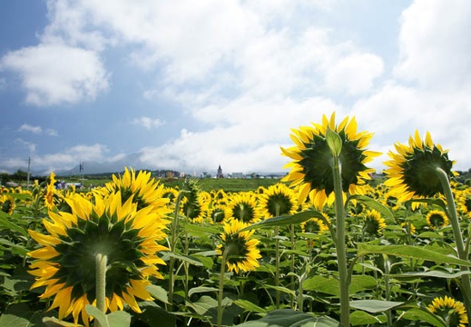 201108080951-DSC02226.jpg