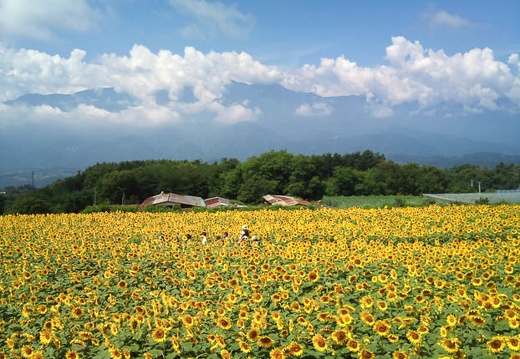 20110808095501-SO-01B.jpg