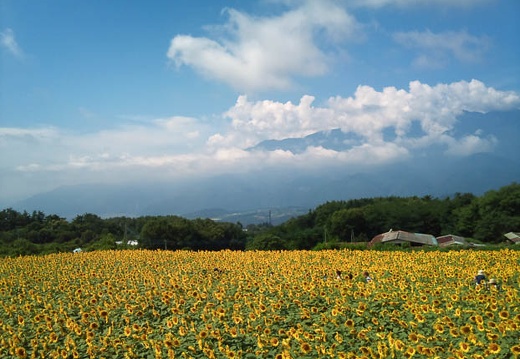 20110808095512-SO-01B.jpg