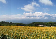 20110808095608-.jpg